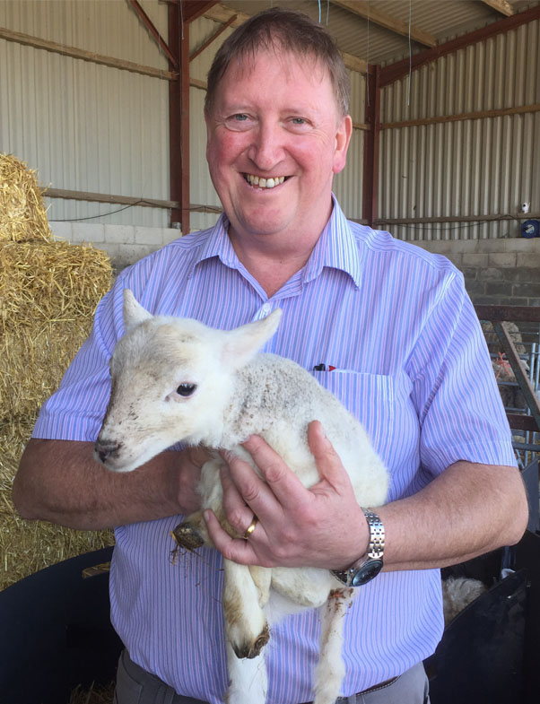 Steve Croot with lamb