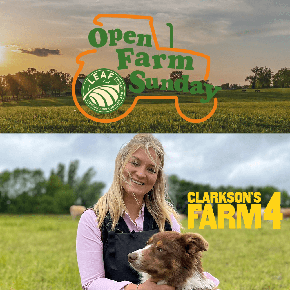 Open farm Sunday Harriet Cowan