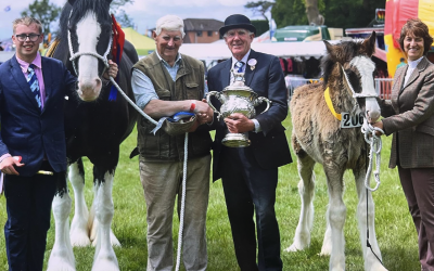 Shire Horse Show