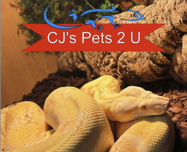 CJ Pets Event