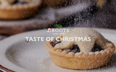 Taste of Christmas Evenings