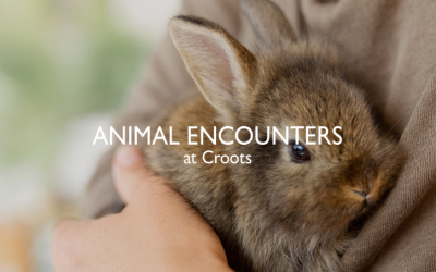 Animal Encounters